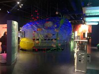 19  Biologická časť – bunka